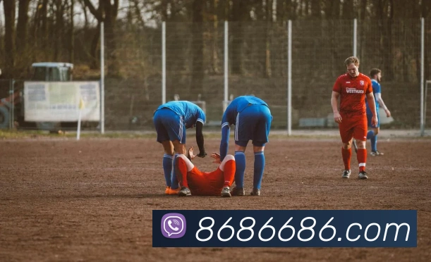 6686全站App